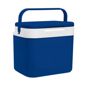 Beach cooler
